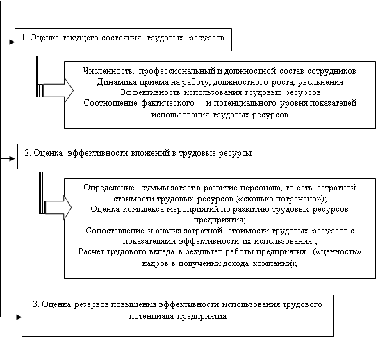 Оценка трудового потенциала на предприятии ОАО «Балаковский завод запасных деталей»
