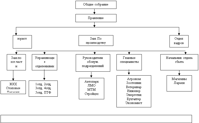 Общие принципы функционирования организации на примере СПК «Птицесовхоз Скатинский»