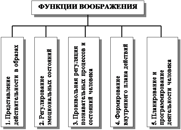 Роль воображения в жизни человека