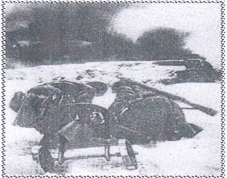Боевые действия за Матвеев-Курган во время Великой Отечественной войны
