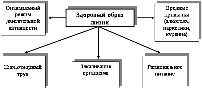 Роль здорового образа жизни в сохранении и укреплении здоровья учащихся общеобразовательной школы