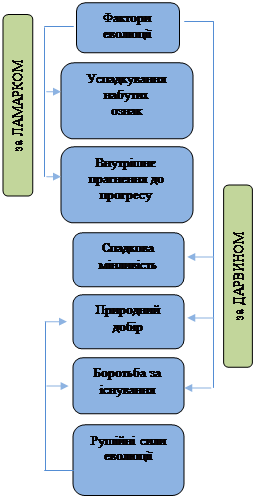 Популяції