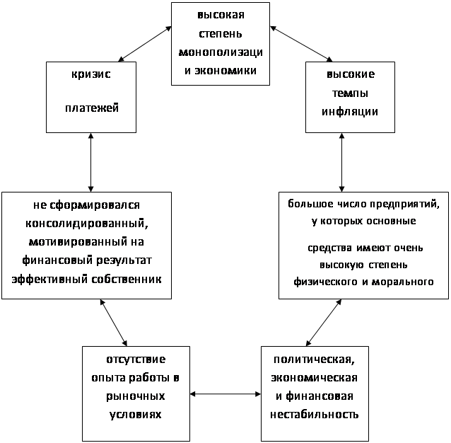 Функционирование российских предприятий в условиях кризиса