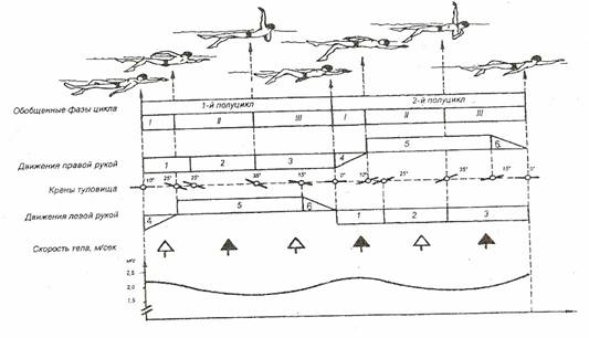 Техника обучения спортивному виду плавания кроль на спине