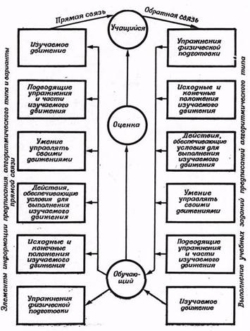 Техника выполнения и метод предписания алгоритмического типа при обучении некоторым акробатическим элементам