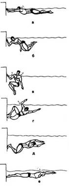 Стили плавания: кроль на спине и поворот маятника