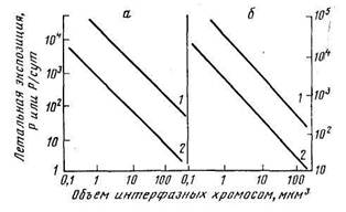 Действие ионизирующего излучения на животных