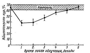 Действие ионизирующего излучения на животных